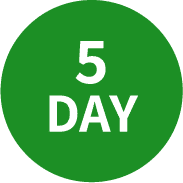 5 DAY